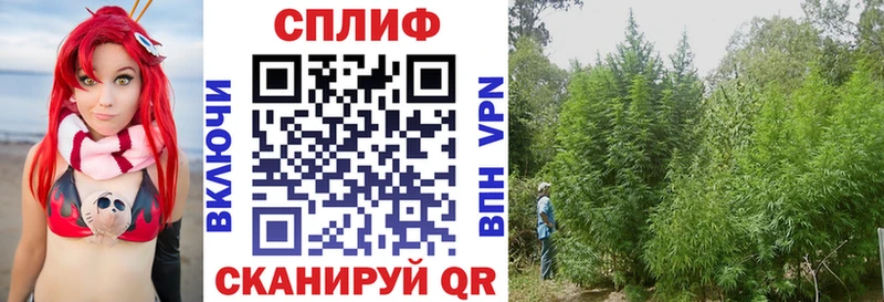 Где можно купить наркотики Староминская Марихуана  Меф  КОКАИН  Гашиш 